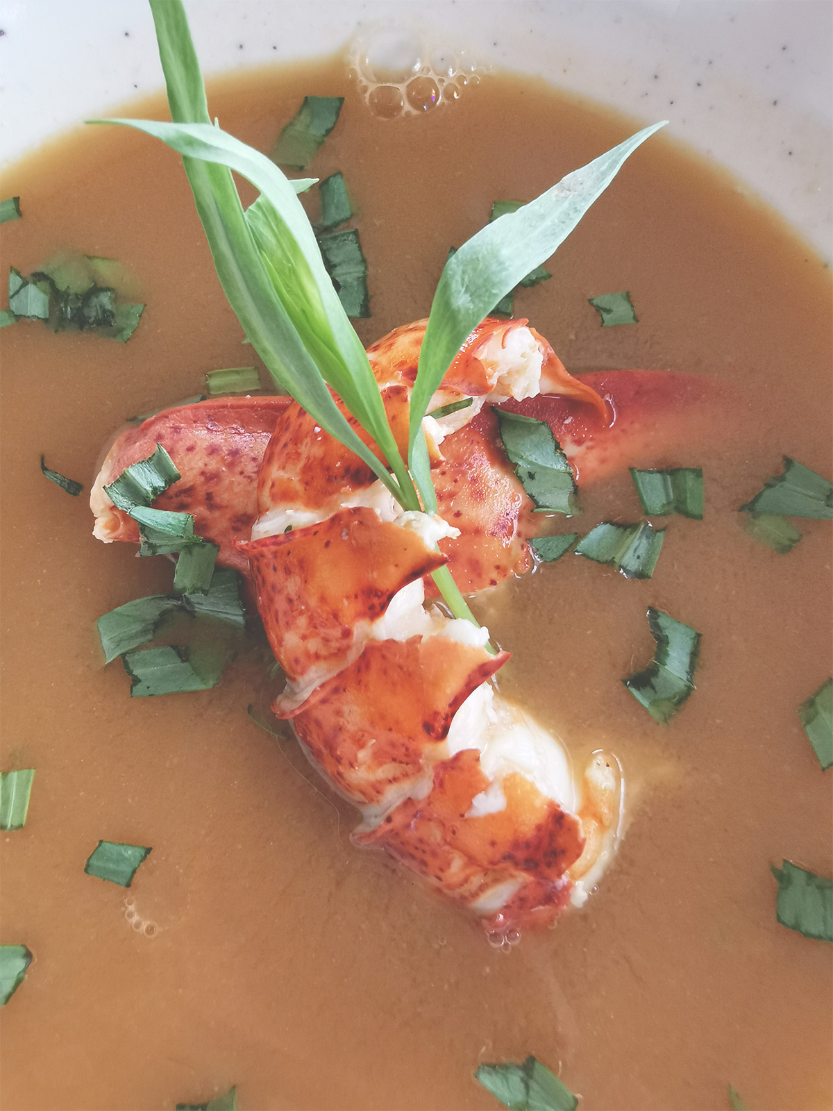 Bisque de homard
